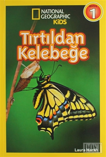 Tırtıldan Kelebeğe